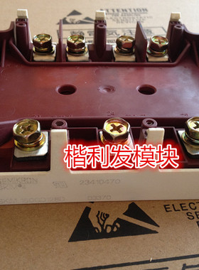 SKIM250GD128D SKIM304GD12T4D SKIM401GD128D SKIM455GD12T4DM1