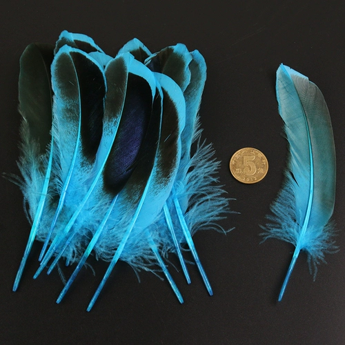 Dream Catcher DIY Fatiken Duck Duck Duck Cui Yu Пехо -ювелирные аксессуары обработка материалов около 20