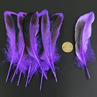 Около 20 глубоких фиолетовых