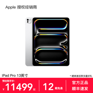 英寸 12期免息 Pro 平板电脑 WiFi版 苹果 M5芯片 Apple 官方正品 iPad 2025款
