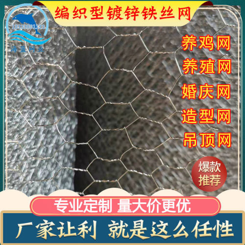 养鸡婚庆造型铁丝网六角网拧花网