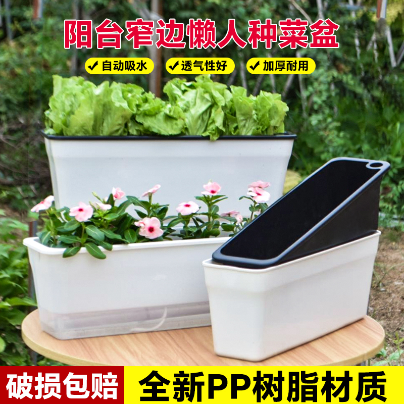 窄盆草莓专用盆阳台种菜神器