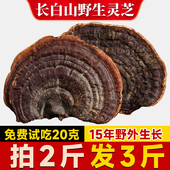 长白山赤灵芝片无柄赤芝整枝野生灵芝干货深山林芝切片买2斤送1斤