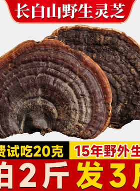 长白山赤灵芝片无柄赤芝整枝野生灵芝干货深山林芝切片买2斤送1斤