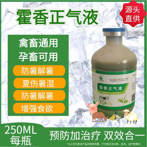兽用藿香正气液藿香正气水冰片薄荷解暑降温抗应激热应激畜禽通用