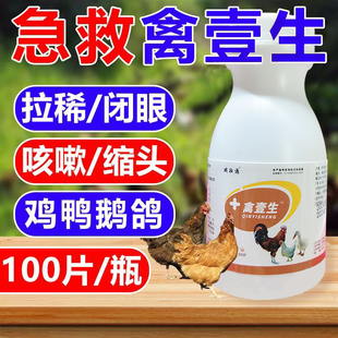 鸡鸭鹅禽壹生精神萎靡呆立不食面部肿胀甩鼻甩头流眼泪禽一片急救