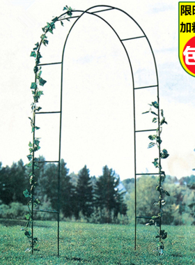 简易铁艺拱门花架月季爬藤架路引架子藤月葡萄丝瓜攀爬加固花支架