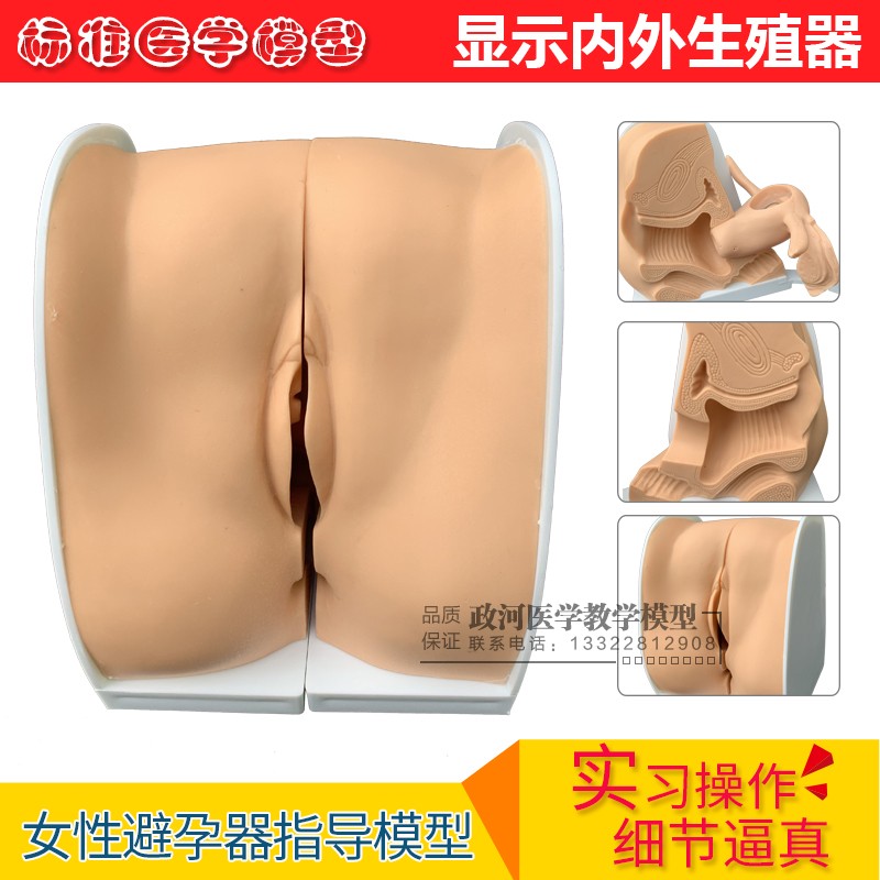 避孕指导模型/女性避孕模型/计划生育专用/妇科检查模型/教学培训