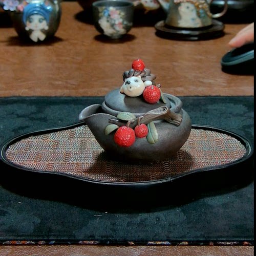 黄老师刺猬宝瓶