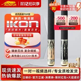 PREDATOR美洲豹台球杆IKON4特别款黑八球名大头杆九球中式桌球杆
