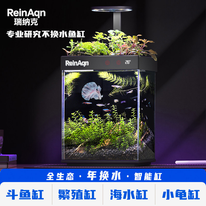 桌面小鱼缸观赏斗鱼缸全生态造景网红缸办公室家用微景观免打理