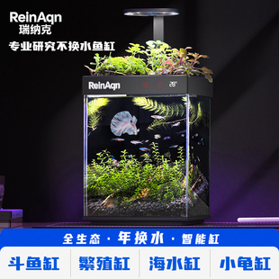 桌面小鱼缸观赏斗鱼缸全生态造景网红缸办公室家用微景观免打理