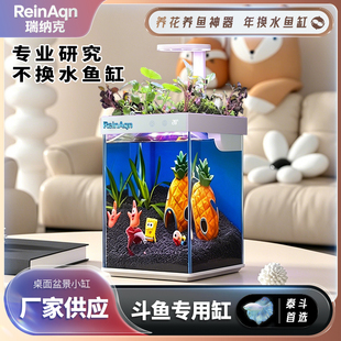 桌面迷你小鱼缸自循环生态缸精致造景全套成品水泵超静音斗鱼缸