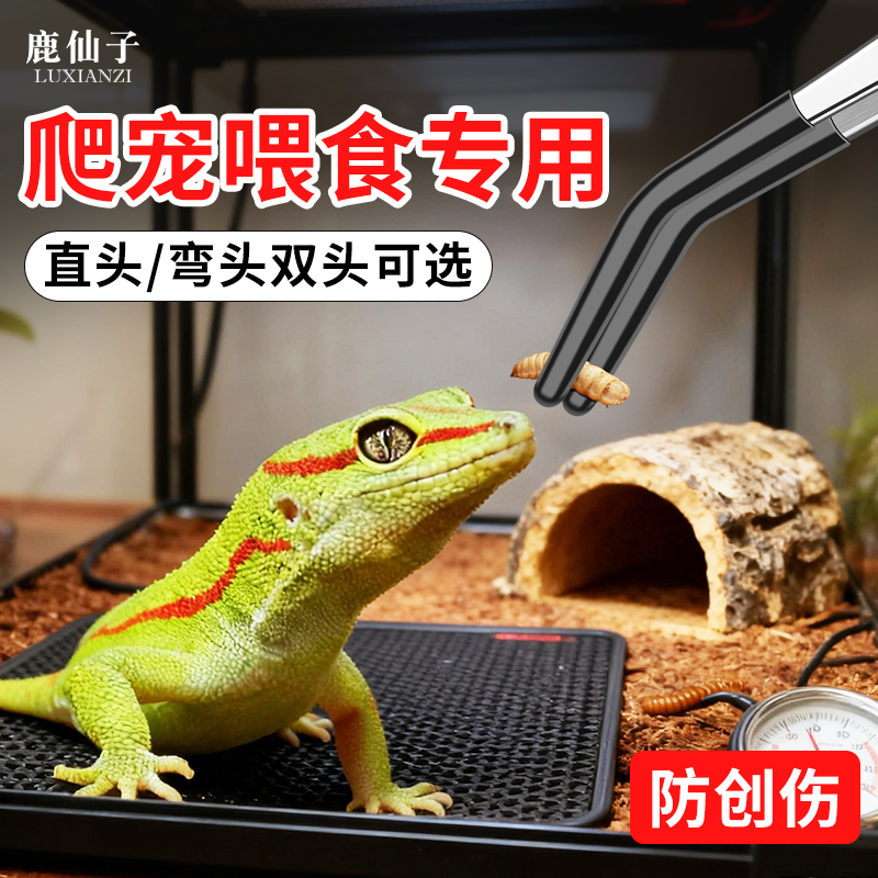 鹿仙子喂食专用镊子爬宠喂龟夹子
