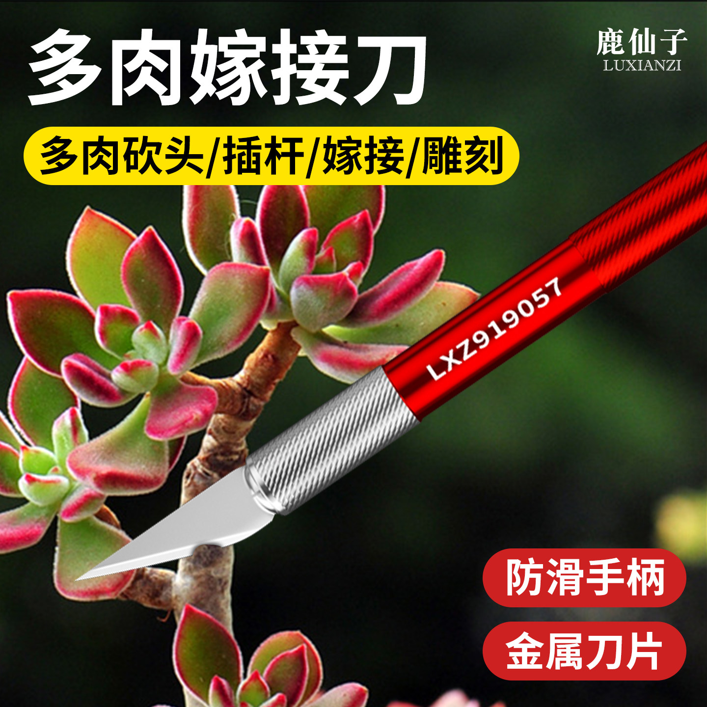 多肉砍头刀园艺工具专用盆景嫁接修跟刀芽接刀水仙花雕刻金属刀片