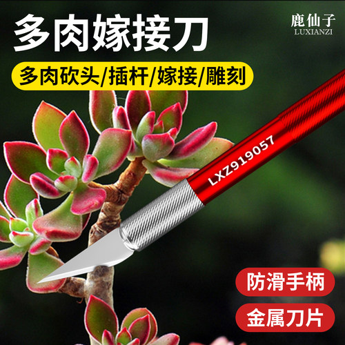 多肉砍头刀园艺嫁接专用刀修根