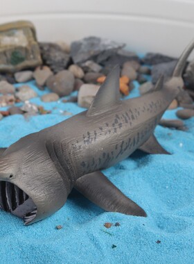 仿真鲨鱼海洋动物玩具姥鲨模型姥鲛实心海底生物儿童科教认知摆件