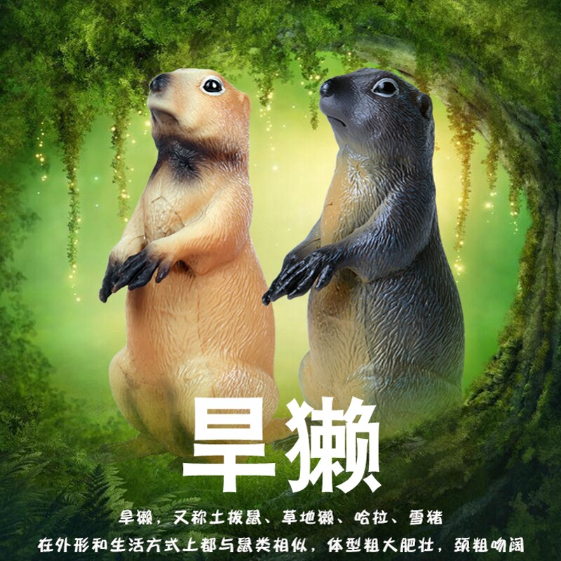 儿童仿真玩具旱獭模型实心土拨鼠草地獭松鼠科小动物男孩认知摆件