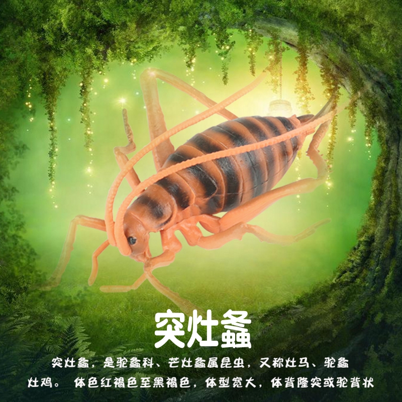 儿童昆虫玩具模型仿真动物