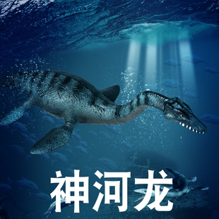 白垩纪儿童海洋恐龙玩具神河龙模型仿真动物远古生物史前巨兽认知