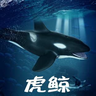 儿童深海鲸鱼玩具鲨鱼海洋生物摆件仿真动物虎鲸模型大号蓝鲸套装