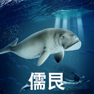 儿童玩具史前海洋动物摆件巨儒艮模型仿真大海牛远古时代巨兽生物