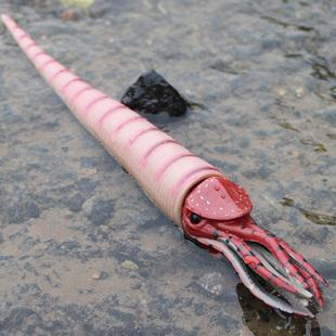 儿童仿真远古时代动物玩具模型直角石史前海洋生物奥陶纪奇虾鱼龙