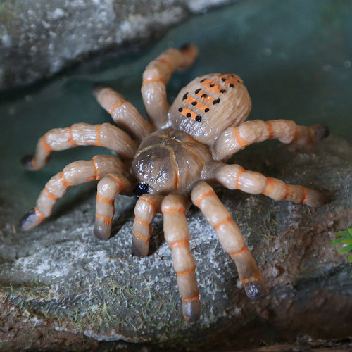 儿童仿真玩具塑胶昆虫蜘蛛模型