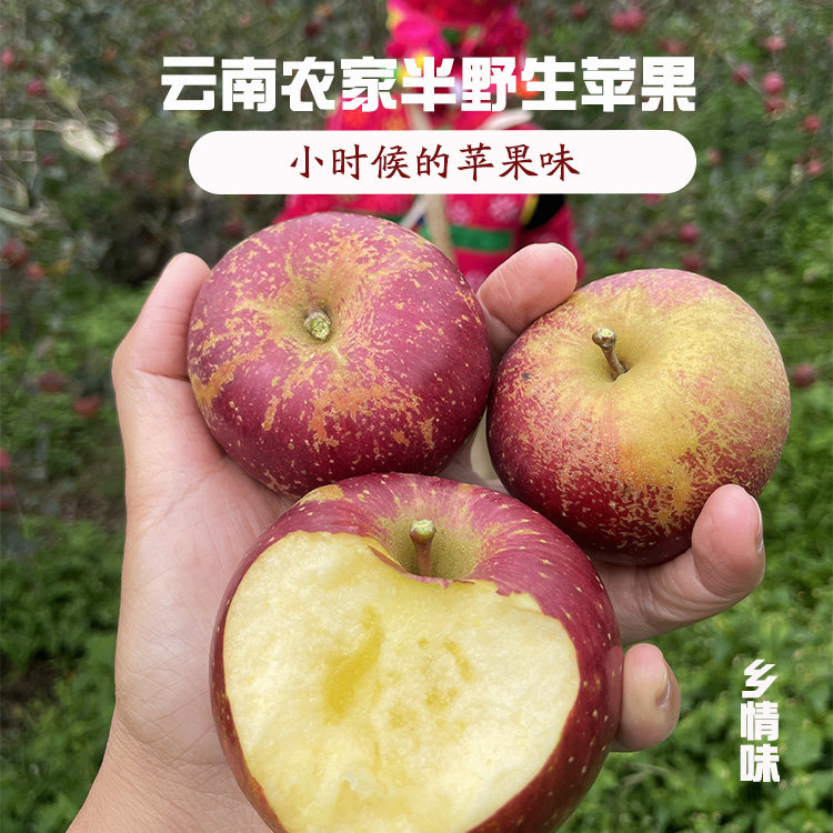 云南半野生苹果小时候的苹果味道