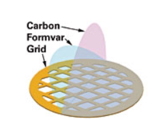 进口TED200至400目铜网微栅碳支持膜TEM载网碳膜透射电镜