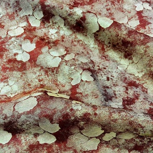 碎金海棠真丝提花面料国风旗袍汉服马甲布料爆款 裙子连衣裙春夏款