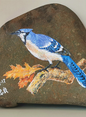 石头diy彩绘装饰画工艺品