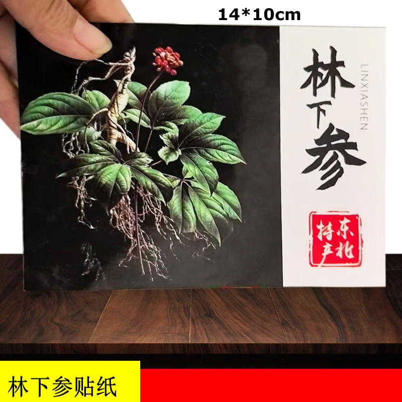 人参林下参纸卡片多款山参卡纸搭配山参林下参介绍纸人参证书
