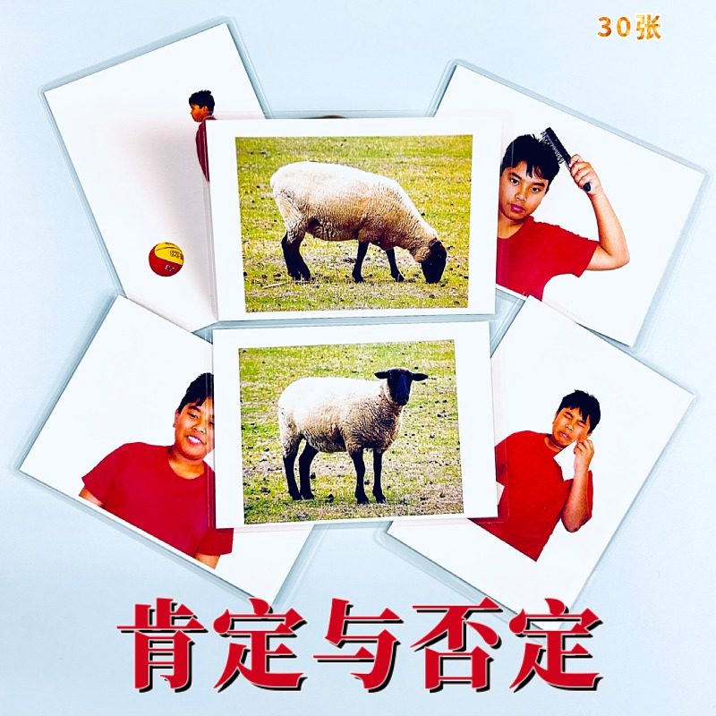 肯定与否定卡早期教育认知卡语言自闭症唐宝宝康复训练教具