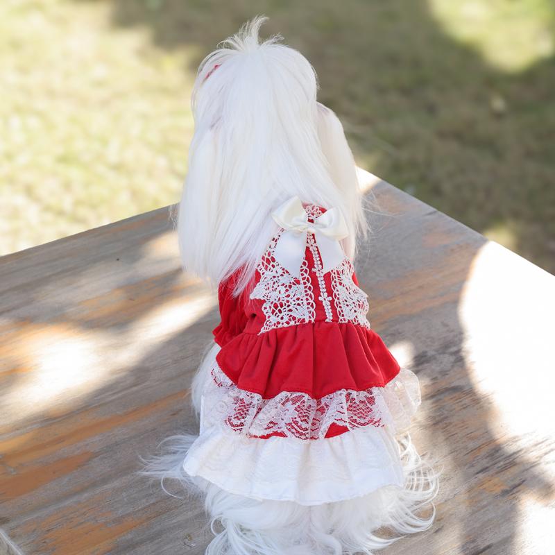 高端狗狗衣服秋冬防掉毛幼小型犬过年红色裙子马尔济斯宠物连身裙