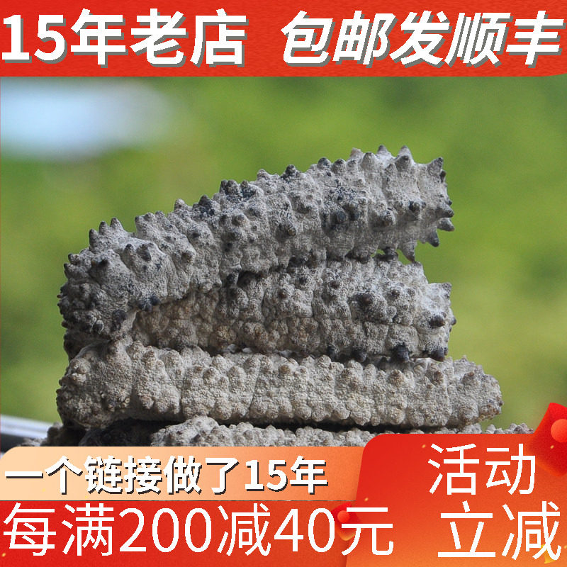 澳洲黄玉参野生海参淡干海参进口干货海产品食用水产无糖海参