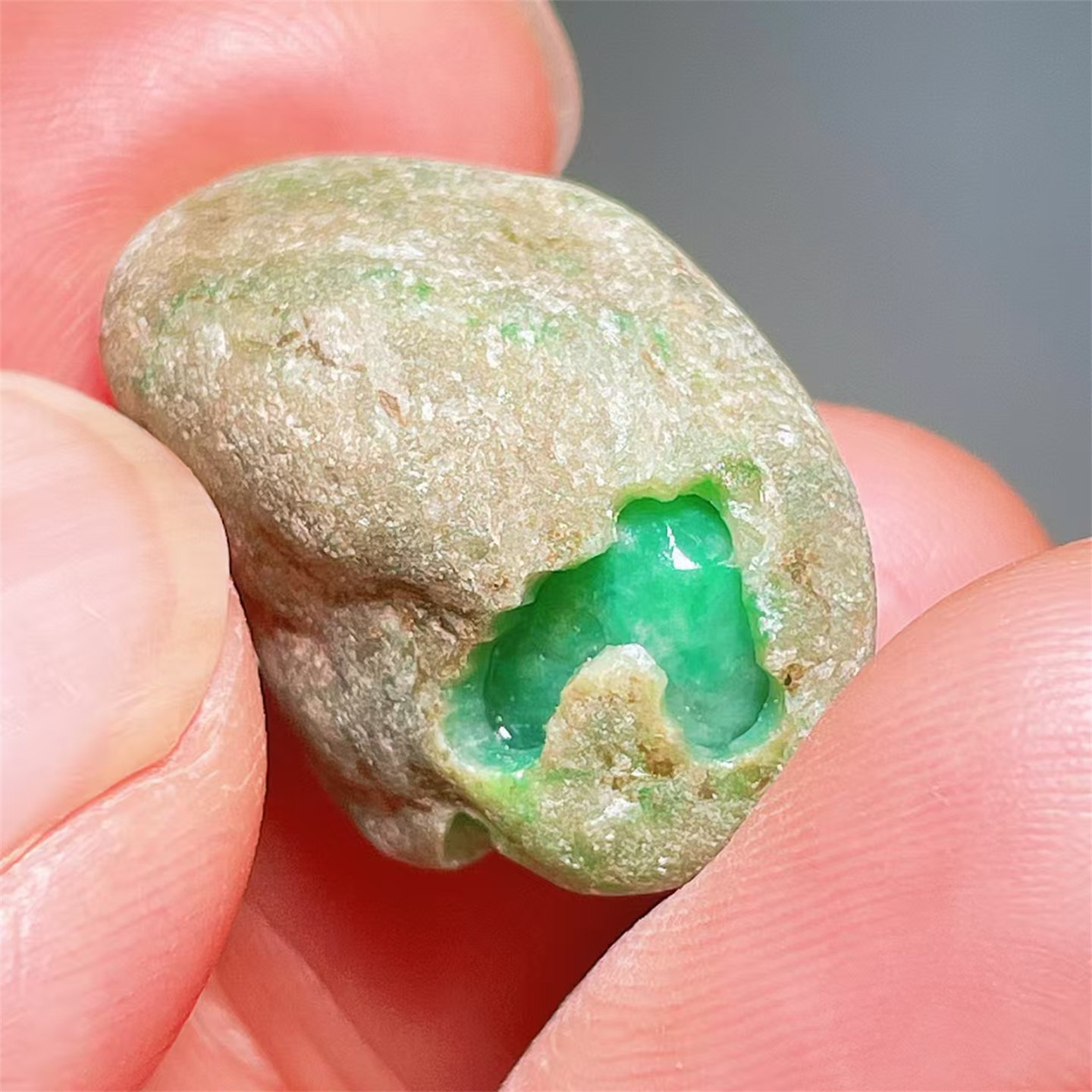 A87 精品缅甸天然翡翠原石老坑后江场口色料戒面料  重6克