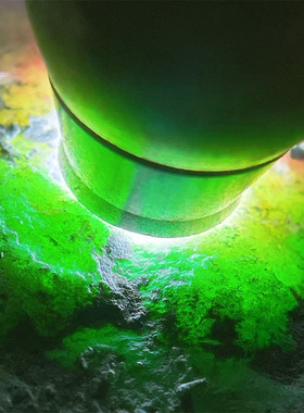 R58997 缅甸天然翡翠原石老坑木那场口飘花手镯料 重5.8公斤