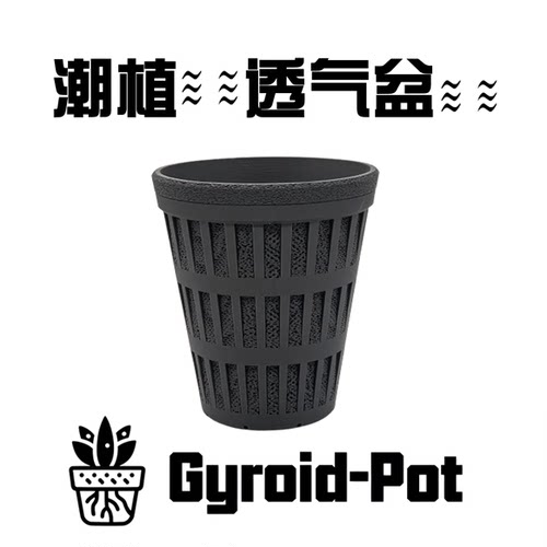 全镂空热带植物根系可呼吸花盆