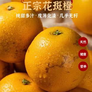 云南哀牢山褚橙之乡甜橙花斑果10斤包邮新鲜水果现摘花皮冰糖橙子