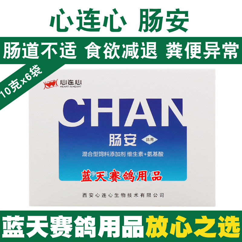 心连心鸽药菌毒肠安信鸽药赛鸽腺病毒沙门氏菌水便绿便鸽子药大全