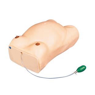 怀孕检查模型 妇科检查模型 电子检查人 FW1 高级孕妇检查模型GD