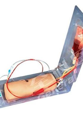 高级肘部静脉穿刺训练模型GD/HS5G