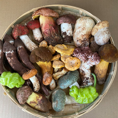 云南新鲜野生菌组合青头菌见手青