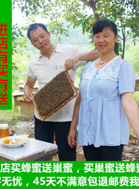 蜂蜜天然农家自产 自家养野生 纯正土百花荔枝龙眼fengmi从化1斤
