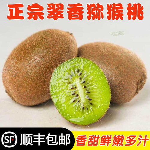 【顺丰包邮】翠香猕猴桃礼盒