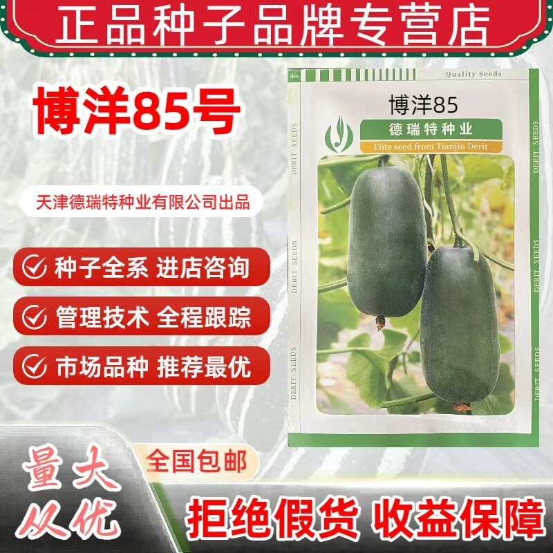 正品博洋85号甜瓜种子高产四季蔬菜种子/种苗