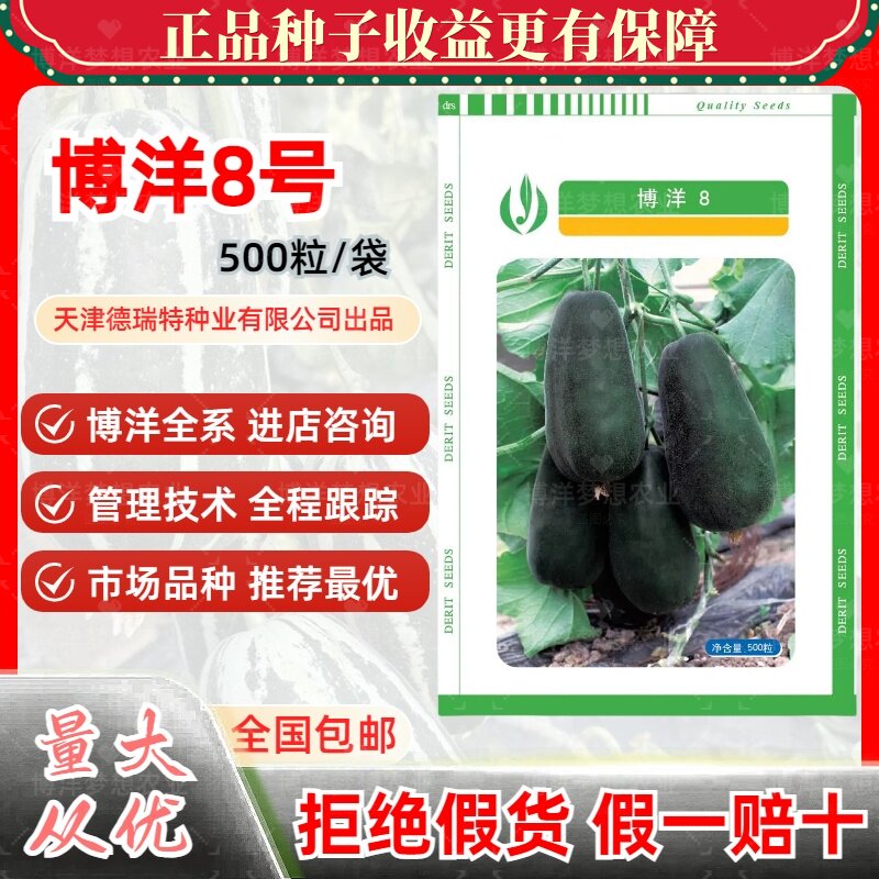 博洋8号甜瓜种子正品德瑞特