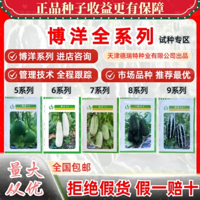 Семена дыни серии Deruit Seed Industry Boyang подлинные 5678910234 и другие семена дыни Boyang 9 61