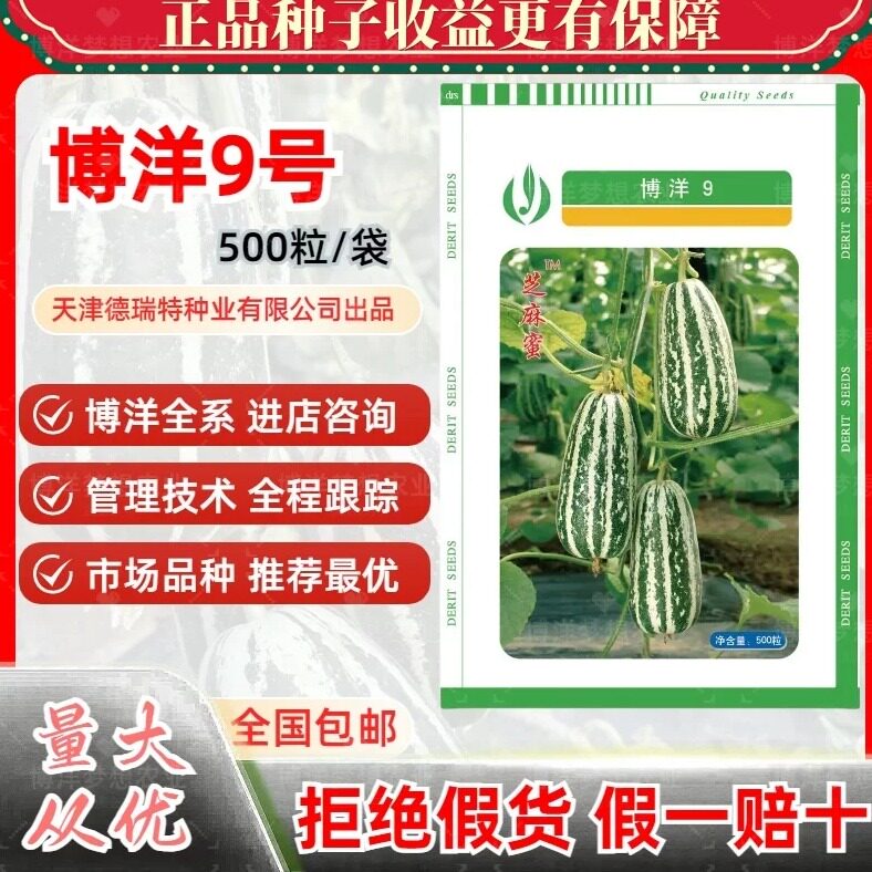 博洋9号甜瓜种子德瑞特种业正品
